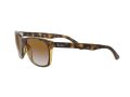 Ray-Ban Rb4181 Naočare za sunce RB 4181 710/51