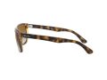 Ray-Ban Rb4181 Naočare za sunce RB 4181 710/51