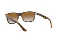 Ray-Ban Rb4181 Naočare za sunce RB 4181 710/51