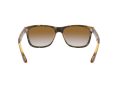 Ray-Ban Rb4181 Naočare za sunce RB 4181 710/51