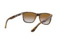 Ray-Ban Rb4181 Naočare za sunce RB 4181 710/51