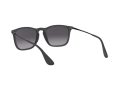 Ray-Ban Chris Naočare za sunce 4187 622/8G