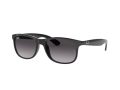Ray-Ban Andy Naočare za sunce RB 4202 601/8G