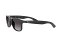 Ray-Ban Andy Naočare za sunce RB 4202 601/8G