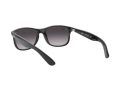 Ray-Ban Andy Naočare za sunce RB 4202 601/8G