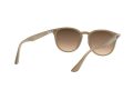 Ray-Ban Naočare za sunce 4259 616613
