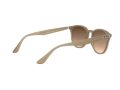 Ray-Ban Naočare za sunce 4259 616613