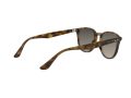 Ray-Ban Naočare za sunce RB 4259 710/11