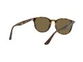 Ray-Ban Naočare za sunce RB 4259 710/73