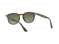 Ray-Ban Naočare za sunce RB 4259 731/E8