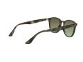 Ray-Ban Naočare za sunce RB 4259 731/E8