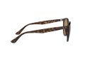 Ray-Ban Naočare za sunce RB 4305 710/83