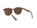 Ray-Ban Naočare za sunce RB 4305 820/73