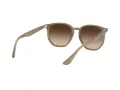 Ray-Ban Naočare za sunce RB 4306 616613