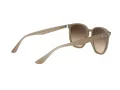 Ray-Ban Naočare za sunce RB 4306 616613