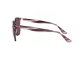 Ray-Ban Naočare za sunce RB 4306 6431/75