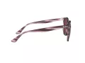 Ray-Ban Naočare za sunce RB 4306 6431/75