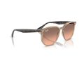 Ray-Ban Naočare za sunce RB 4306 678846