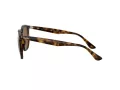 Ray-Ban Naočare za sunce RB 4306 710/83