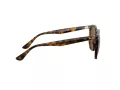 Ray-Ban Naočare za sunce RB 4306 710/83