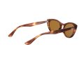Ray-Ban Nina Naočare za sunce RB 4314N 954/33
