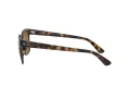 Ray-Ban Naočare za sunce RB 4323 710/33