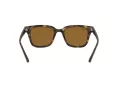 Ray-Ban Naočare za sunce RB 4323 710/33
