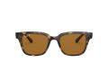 Ray-Ban Naočare za sunce RB 4323 710/83