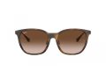 Ray-Ban Naočare za sunce RB 4333D 710/13