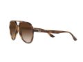 Ray-Ban Naočare za sunce RB 4376 710/13