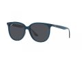 Ray-Ban Naočare za sunce RB 4378 669487