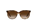 Ray-Ban Naočare za sunce 4378 710/13