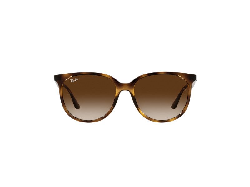 Ray-Ban Naočare za sunce RB 4378 710/13