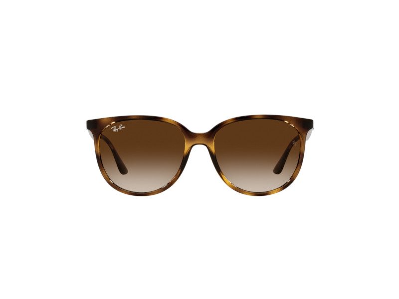 Ray-Ban Naočare za sunce RB 4378 710/13