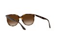 Ray-Ban Naočare za sunce 4378 710/13