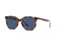 Ray-Ban Naočare za sunce RB 4378 710/80