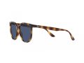 Ray-Ban Naočare za sunce RB 4378 710/80