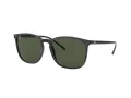 Ray-Ban Naočare za sunce RB 4387 601/71