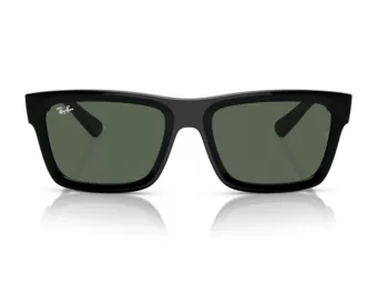 Ray-Ban Warren Naočare za sunce RB 4396 667771