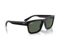 Ray-Ban Warren Naočare za sunce RB 4396 667771
