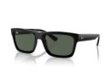 Ray-Ban Warren Naočare za sunce RB 4396 667771
