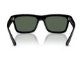 Ray-Ban Warren Naočare za sunce RB 4396 667771