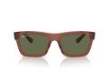 Ray-Ban Warren Naočare za sunce RB 4396 66789A