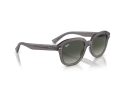 Ray-Ban Erik Naočare za sunce RB 0RB4398 667571