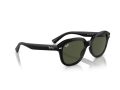 Ray-Ban Erik Naočare za sunce RB 4398 901/31