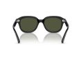 Ray-Ban Erik Naočare za sunce RB 4398 901/31