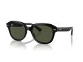 Ray-Ban Erik Naočare za sunce RB 4398 901/31