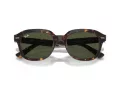 Ray-Ban Erik Naočare za sunce RB 0RB4398 902/31