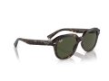 Ray-Ban Erik Naočare za sunce RB 0RB4398 902/31