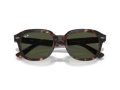 Ray-Ban Erik Naočare za sunce RB 0RB4398 902/31